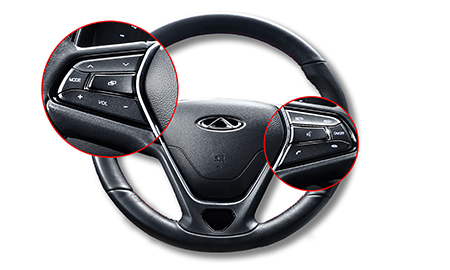 Multifunctional steering wheel